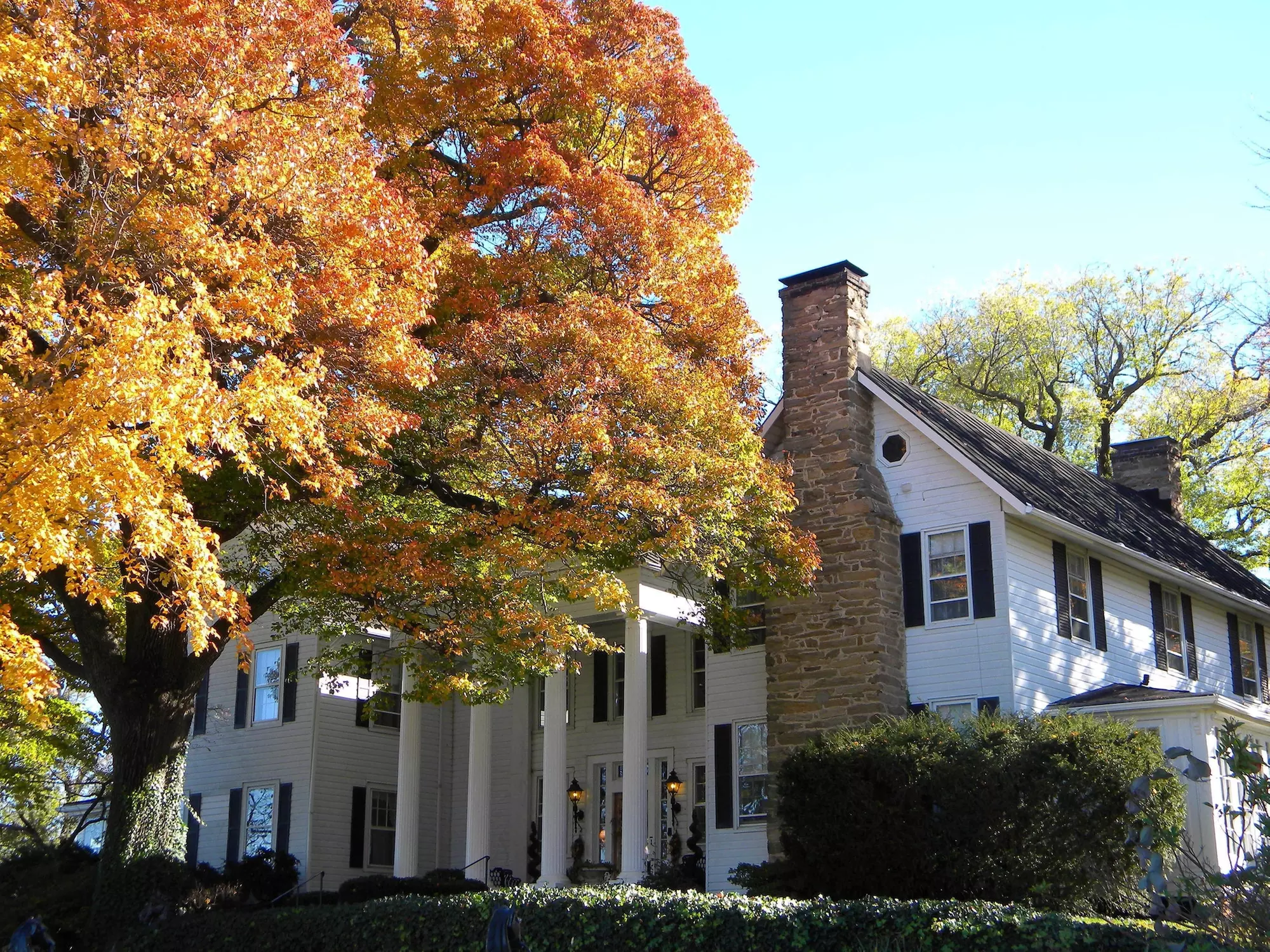 Black Horse Inn - Primary Image