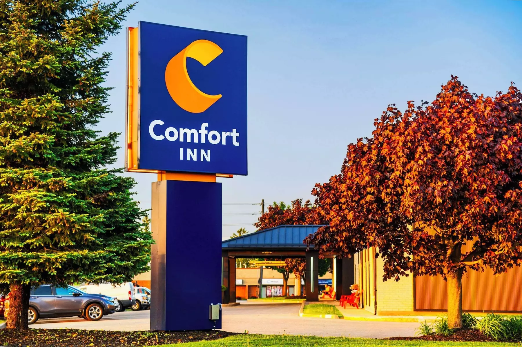 Comfort Inn Guelph - Primary Image