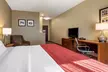 Comfort Inn & Suites Russellville I-40 - Second Medium