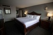 Wyndham Houston near NRG Park/Medical Center - Second Medium