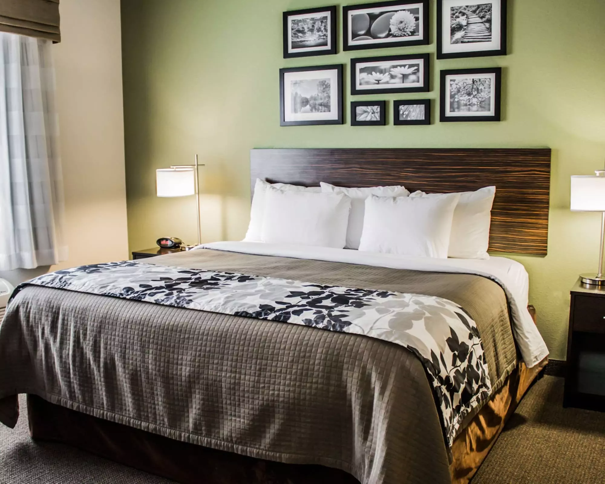 Sleep Inn & Suites - Primary Image