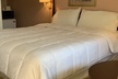 Red Carpet Inn - Second Medium