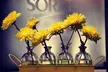 Sorat Hotel Cottbus - Second Medium