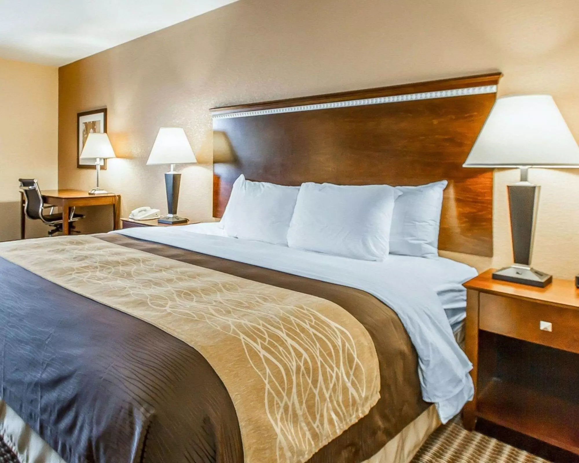 Quality Inn & Suites - Primary Image