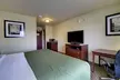 Cobblestone Inn & Suites - Hartington - Second Medium