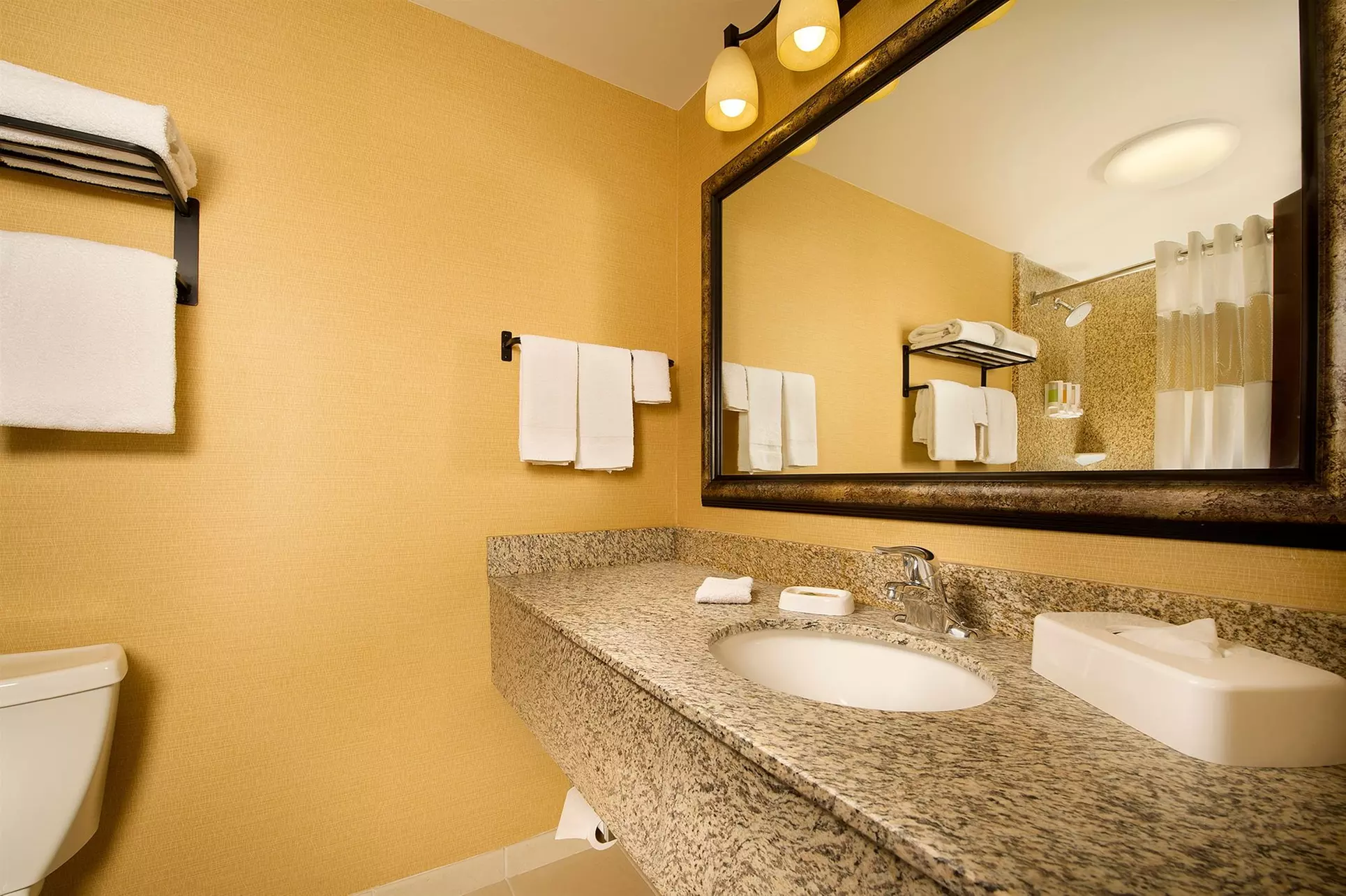 Drury Inn & Suites Airport - Phoenix - Primary Image