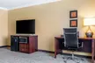 Comfort Inn & Suites Redwood Country - Second Medium