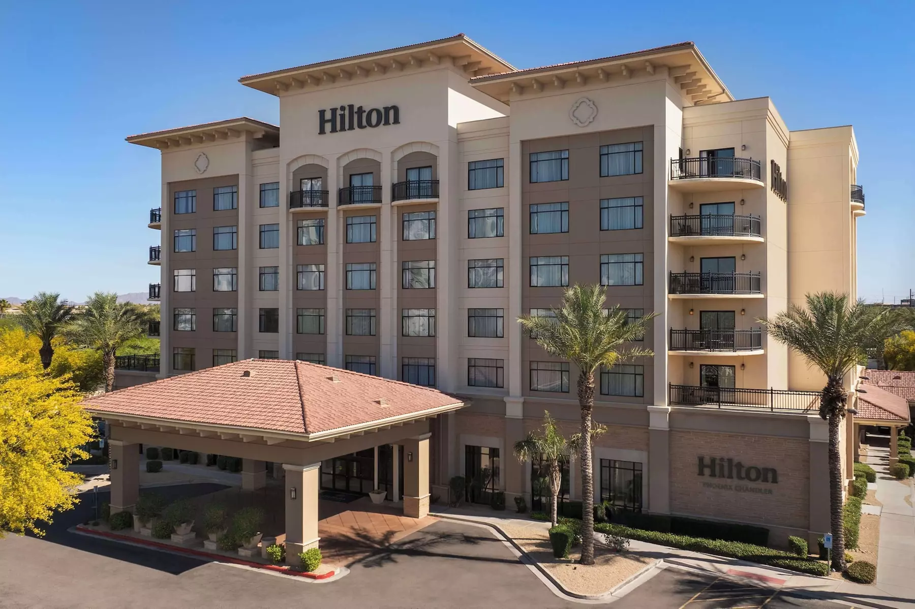 Hilton Phoenix Chandler - Primary Image