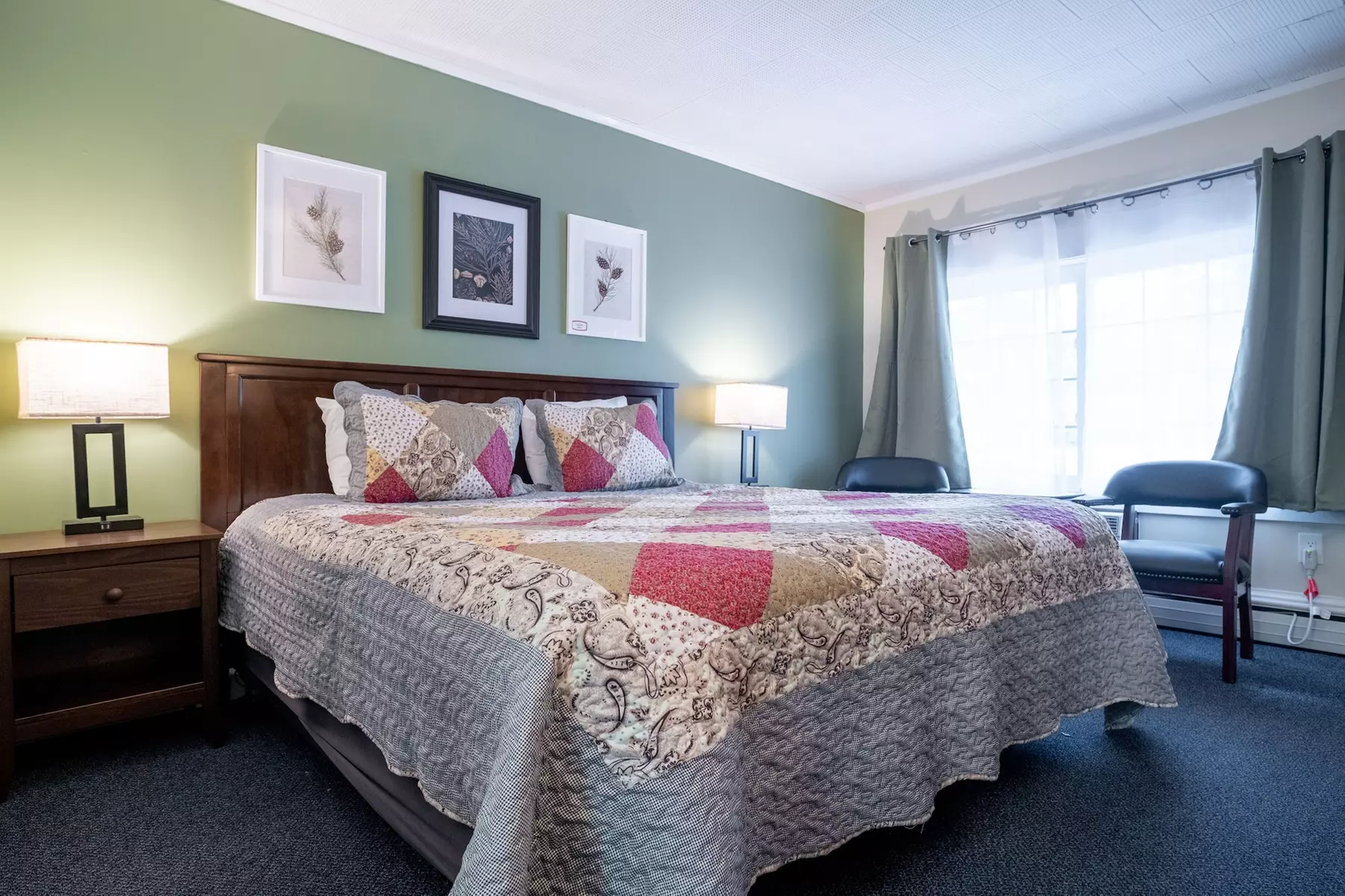 Acadia Pines Motel - Primary Image