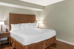 Best Western Inn at Palm Springs - Second Medium
