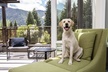 Limelight Hotel Ketchum - Second Medium