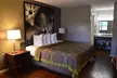 Super 8 by Wyndham Madison - Second Medium