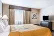 Quality Inn & Suites University/Airport - Second Medium