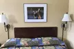 Baxter Park Inn - Second Medium