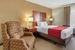 Comfort Inn And Suites - Second Medium