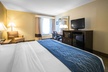 Comfort Inn & Suites DeLand - near University - Second Medium