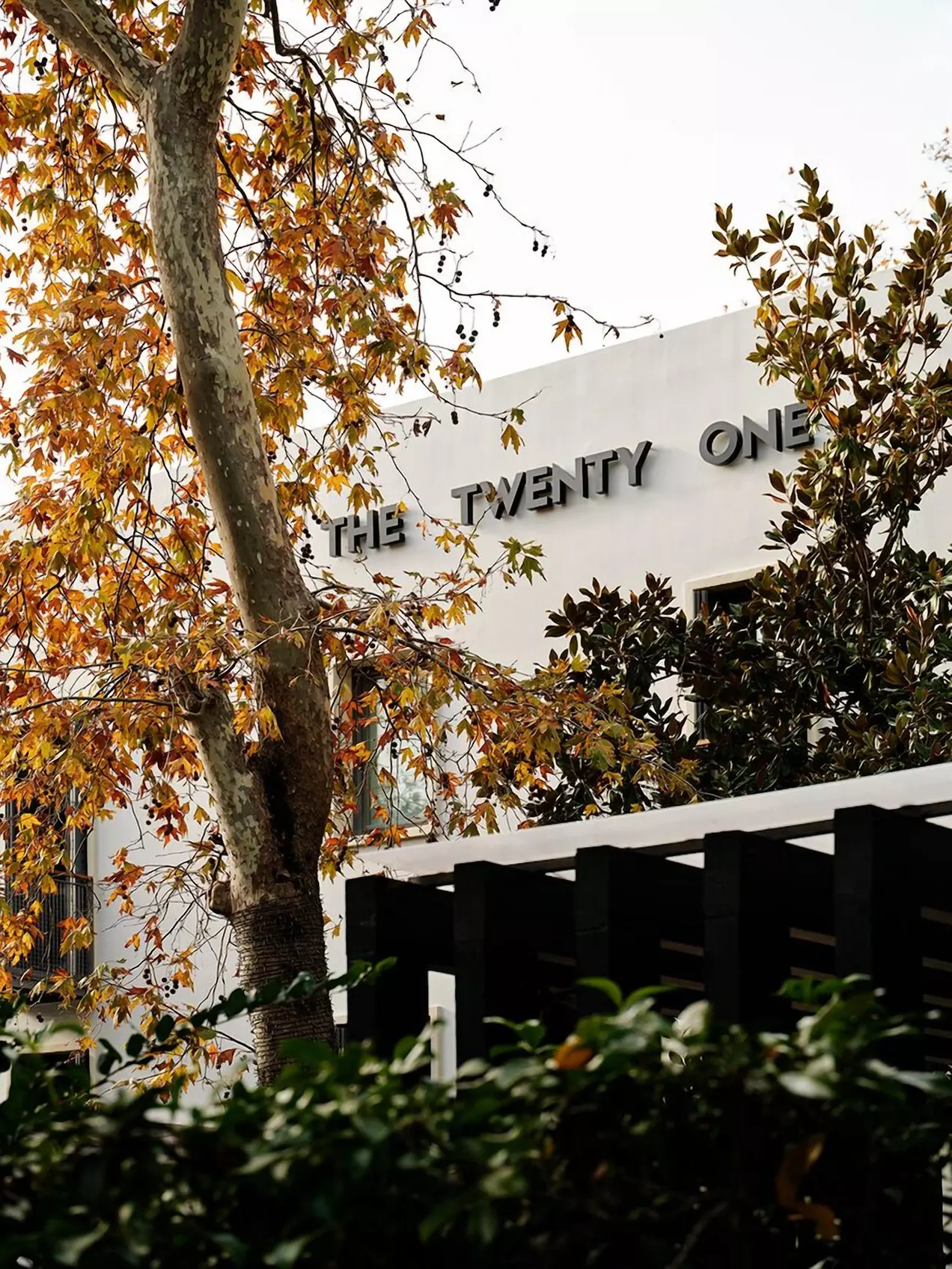The Twentyone - Primary Image