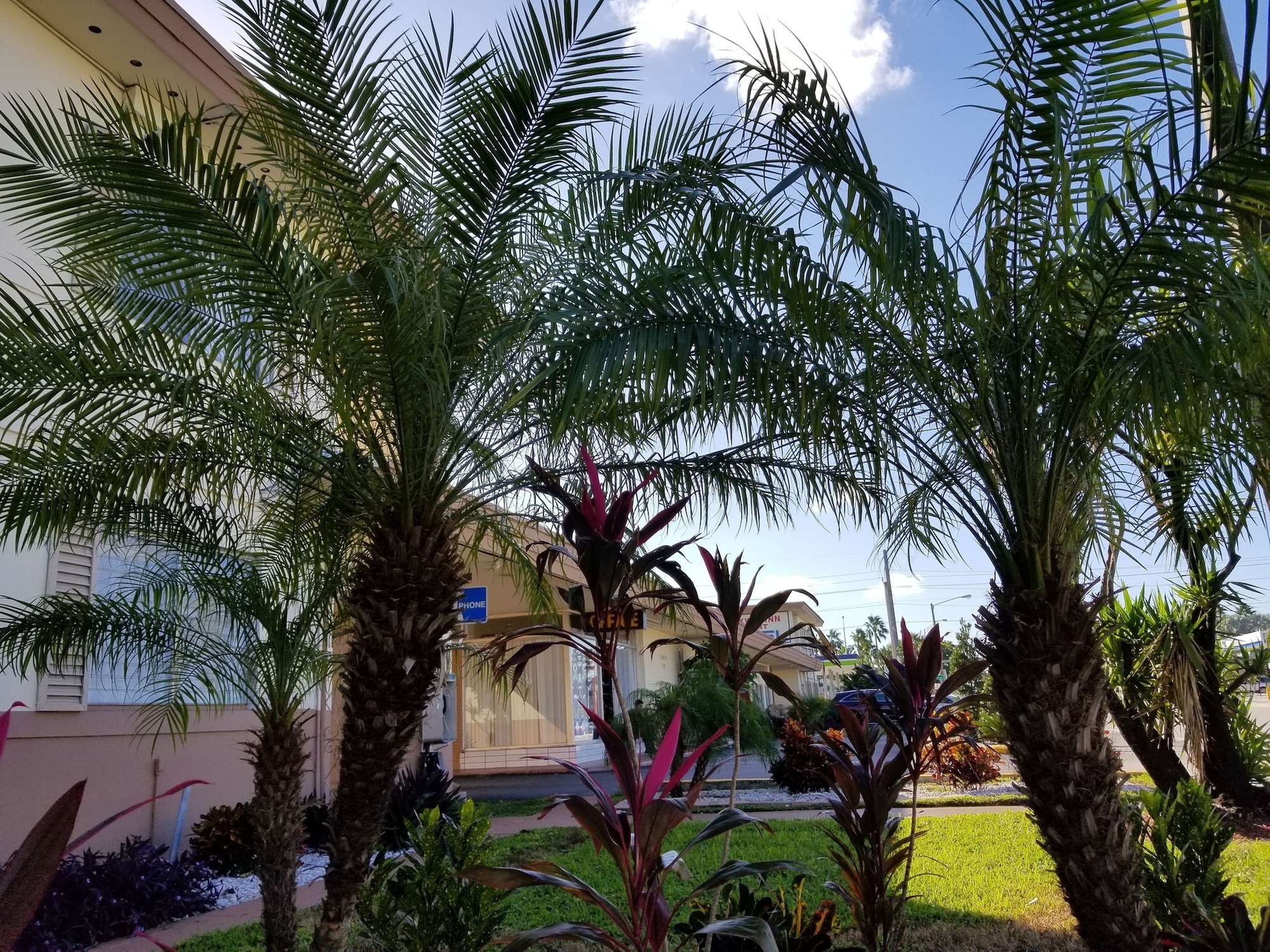 Parkway Inn Airport Motel Miami - Primary Image