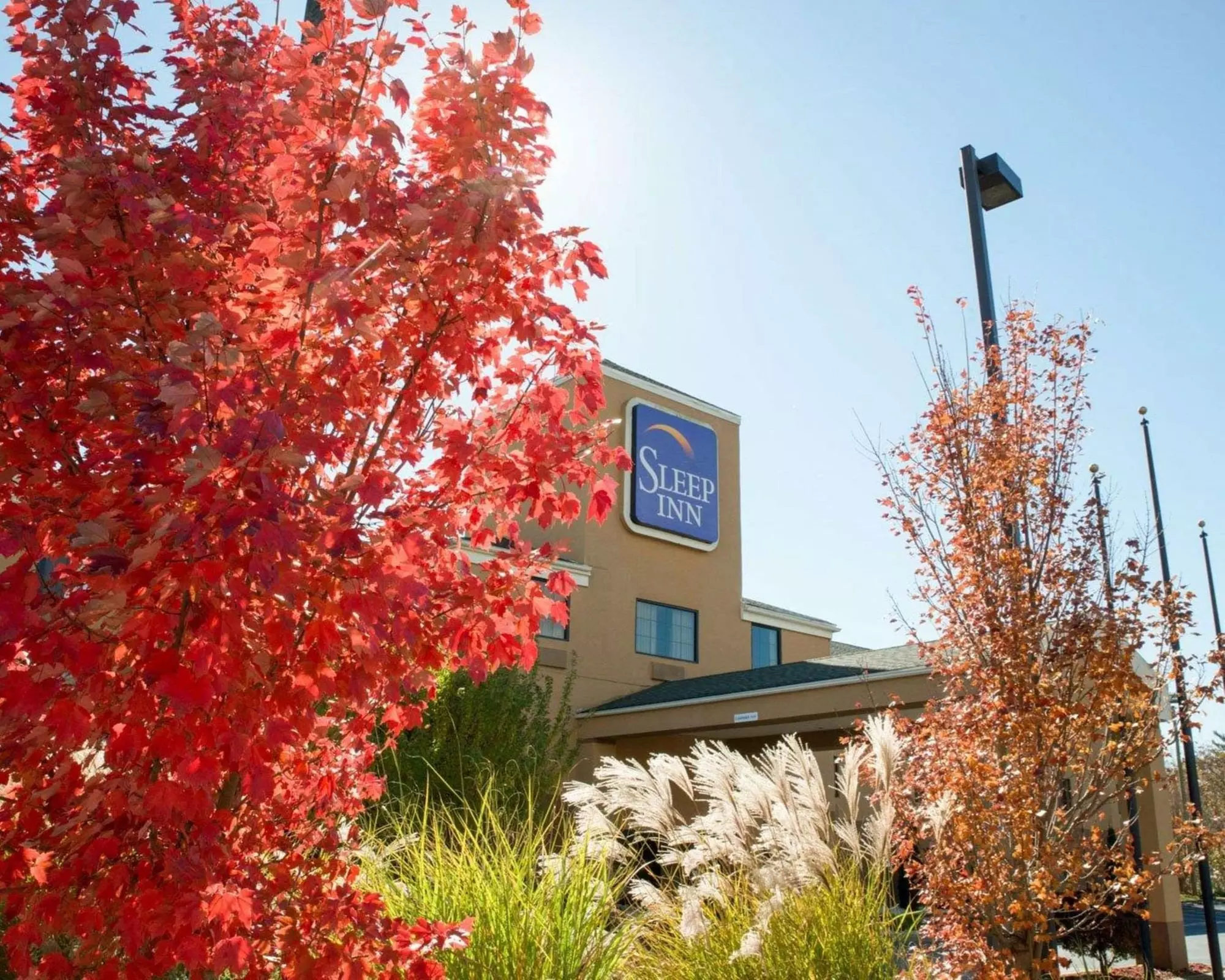 Sleep Inn Asheville - Biltmore West - Primary Image