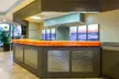Bluegreen Vacations Seaglass Tower, Ascend Resort Collection - Second Medium