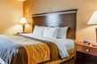 Quality Inn & Suites - Second Medium