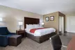 Comfort Inn - Second Medium