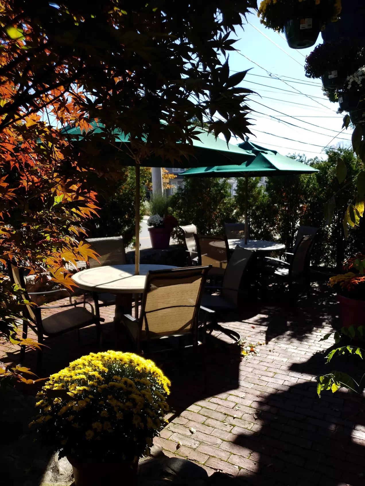Crescent Suites Hotel - Primary Image