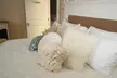 Hamilton House Inn - Second Medium