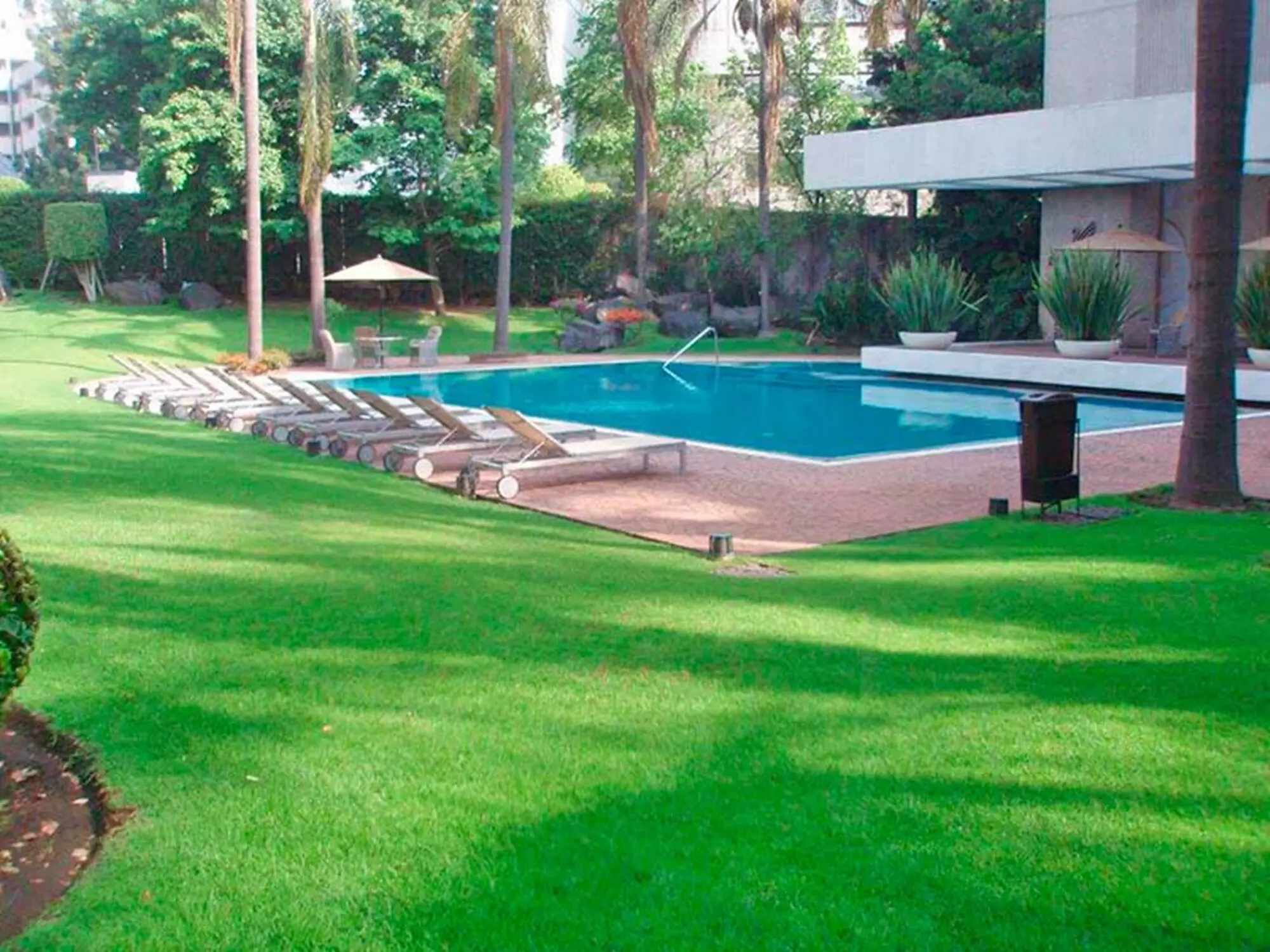 Royal Pedregal Hotel - Primary Image