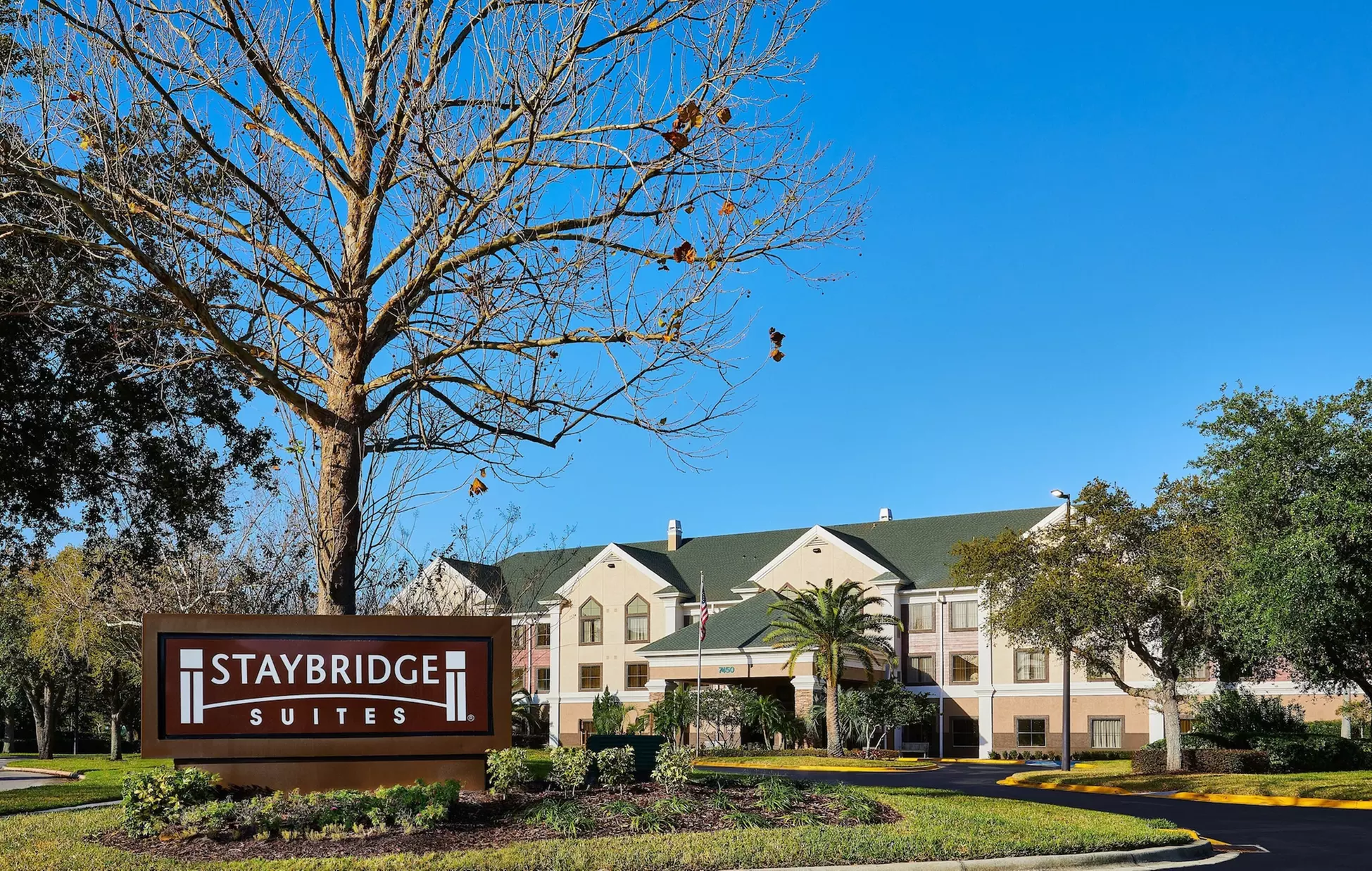 Staybridge Suites Orlando Airport South by IHG - Primary Image