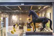 Hotel Jerez & Spa - Second Medium