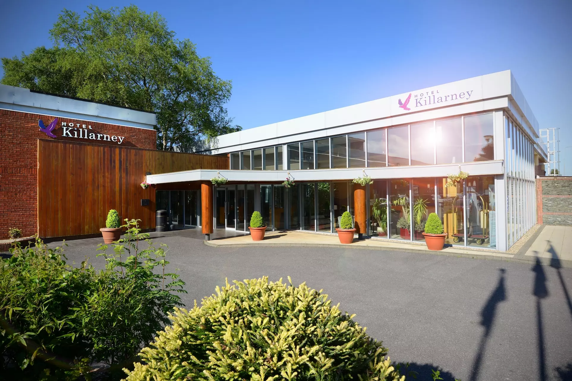 Hotel Killarney - Primary Image