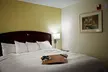 Hampton Inn Carrollton - Second Medium