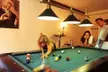 Hotel Alpenhof - Second Medium