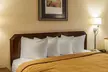 Quality Inn & Suites - Second Medium