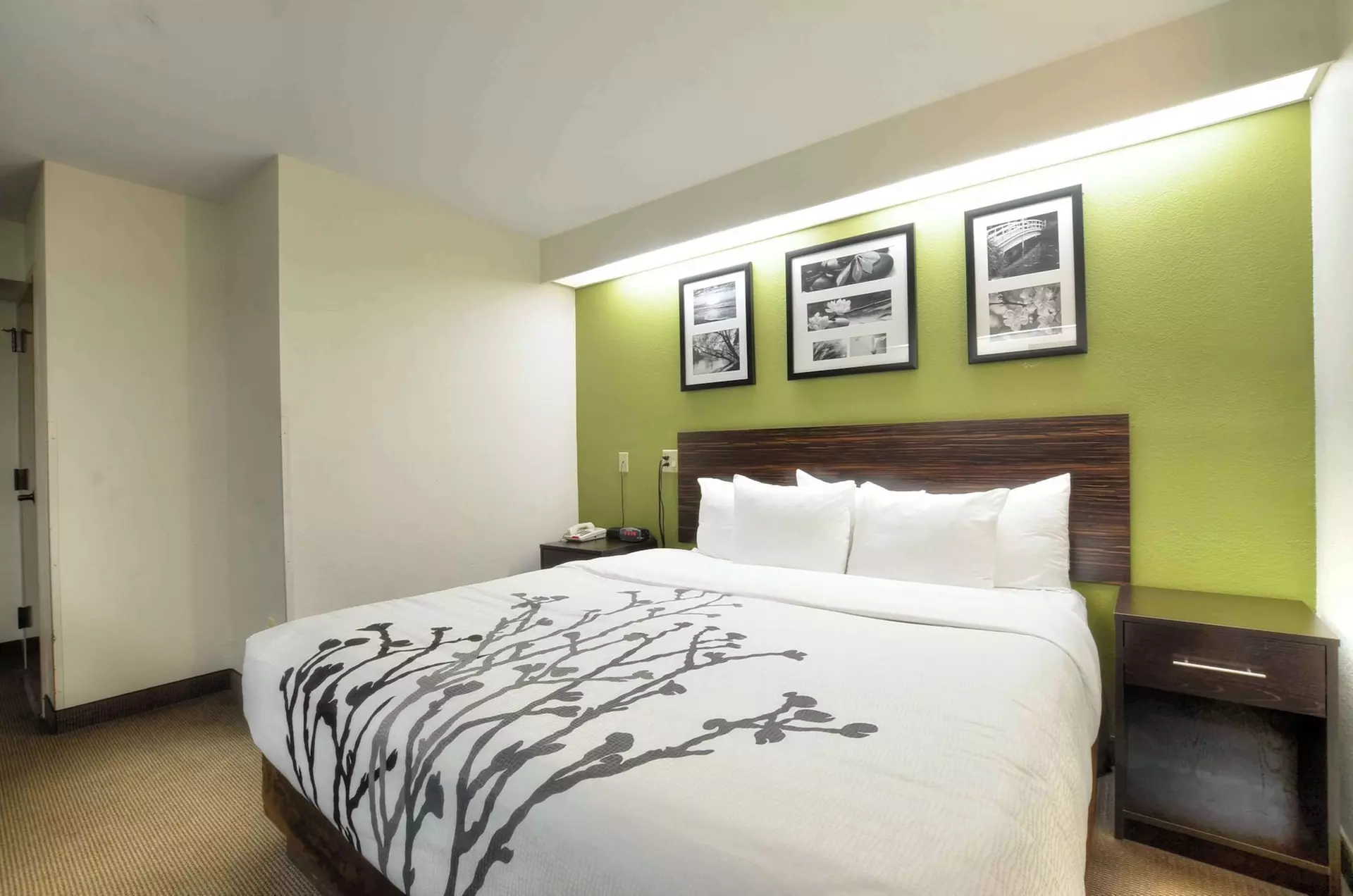 Sleep Inn Bryson City - Cherokee Area - Primary Image