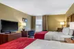 Comfort Inn & Suites La Grange - Second Medium
