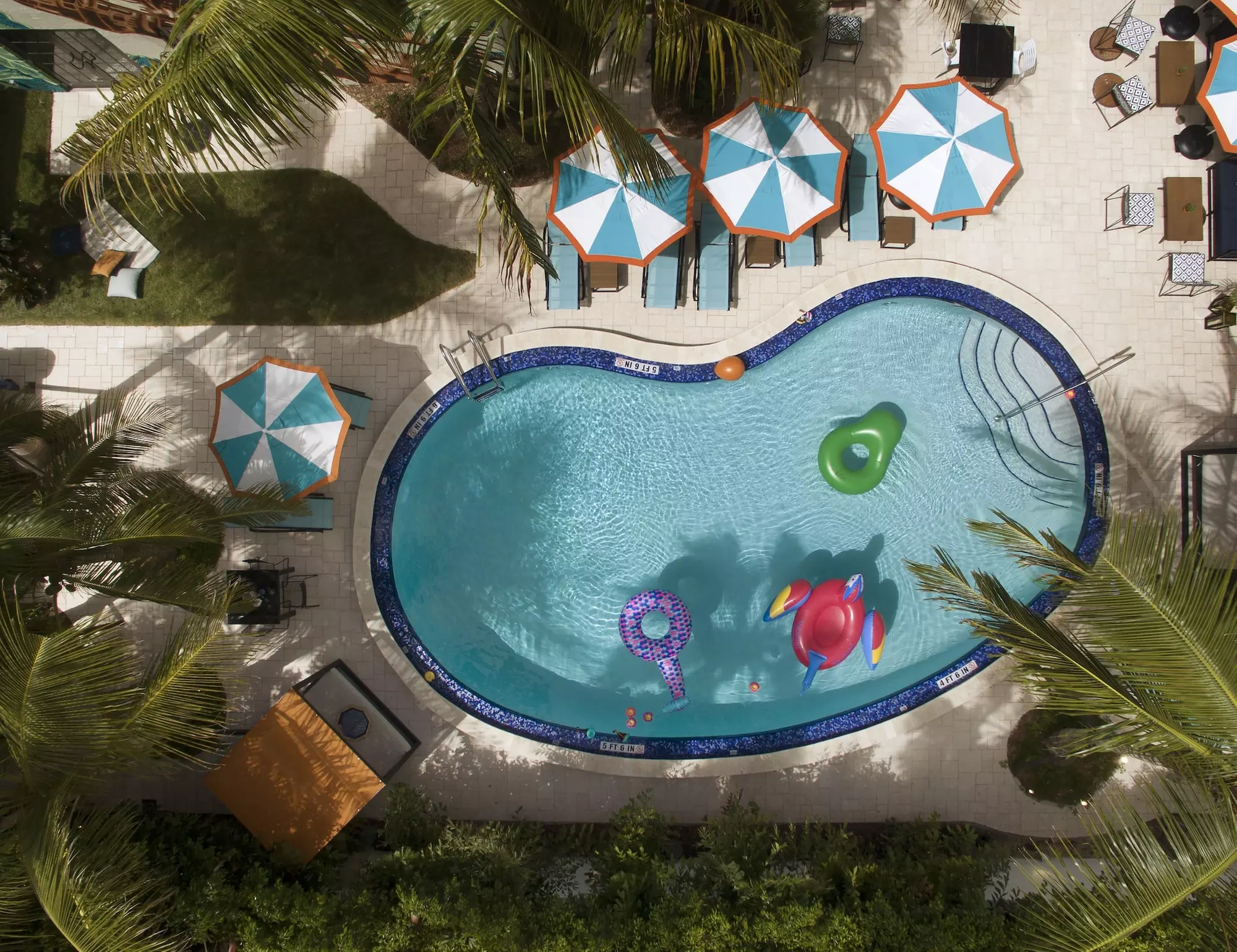 Generator Miami - Primary Image