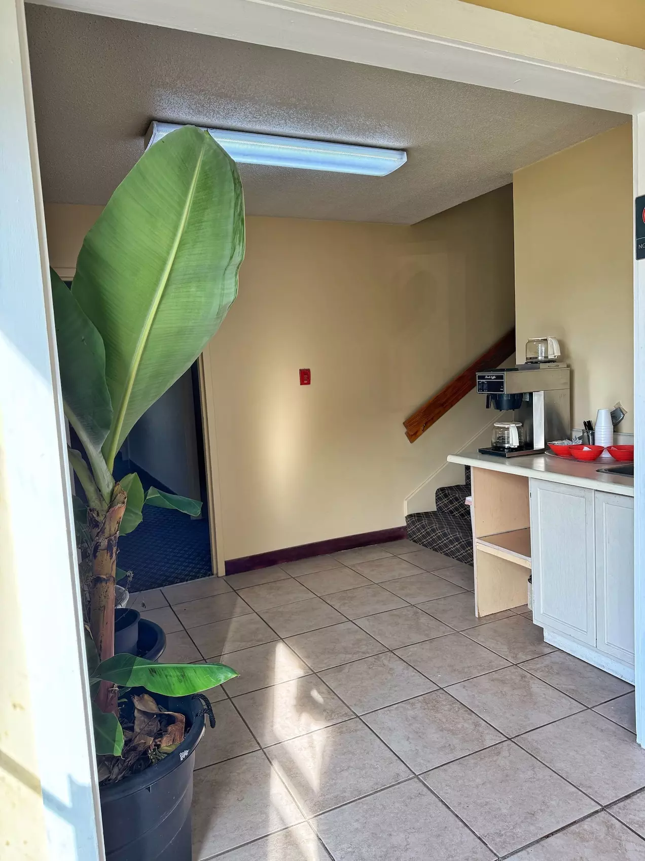 Laketree Inn And Suites Marion - Primary Image