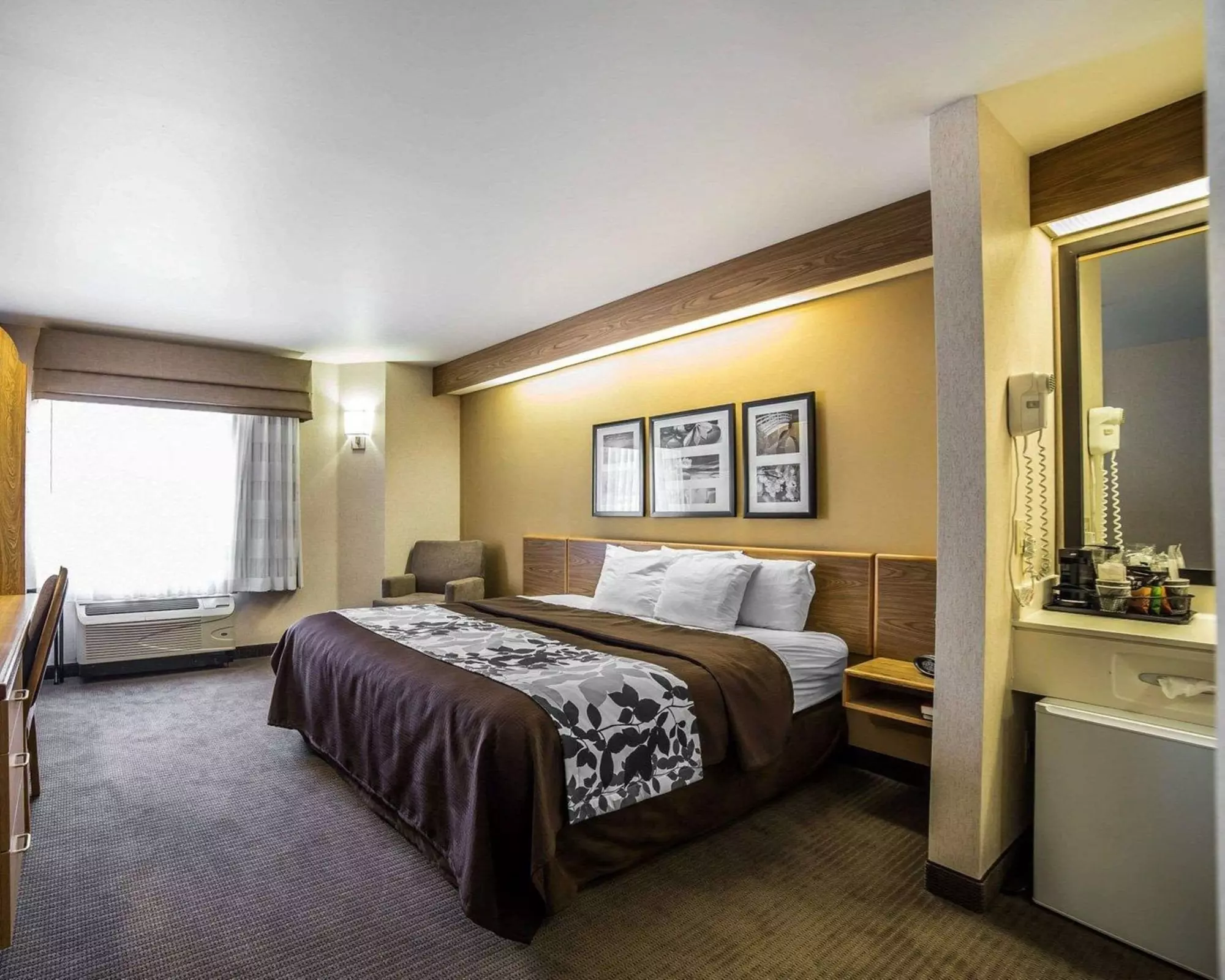Quality Inn Moab Slickrock Area - Primary Image