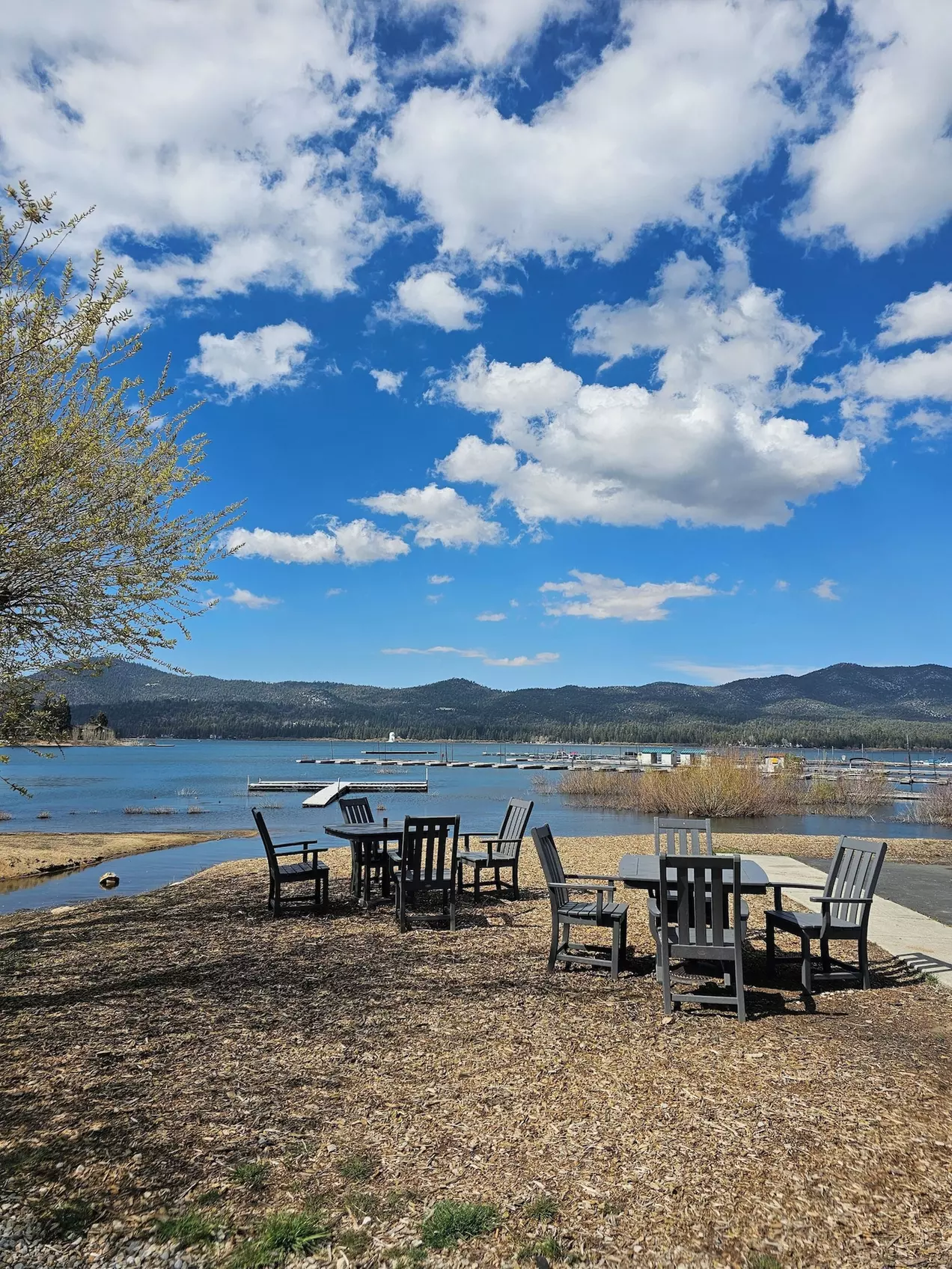 Big Bear Frontier - Primary Image