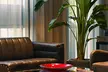 Art House Hotel and Suites - Second Medium