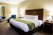 Comfort Suites Cookeville - Second Medium