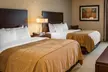 Comfort Inn Bloomington near University - Second Medium