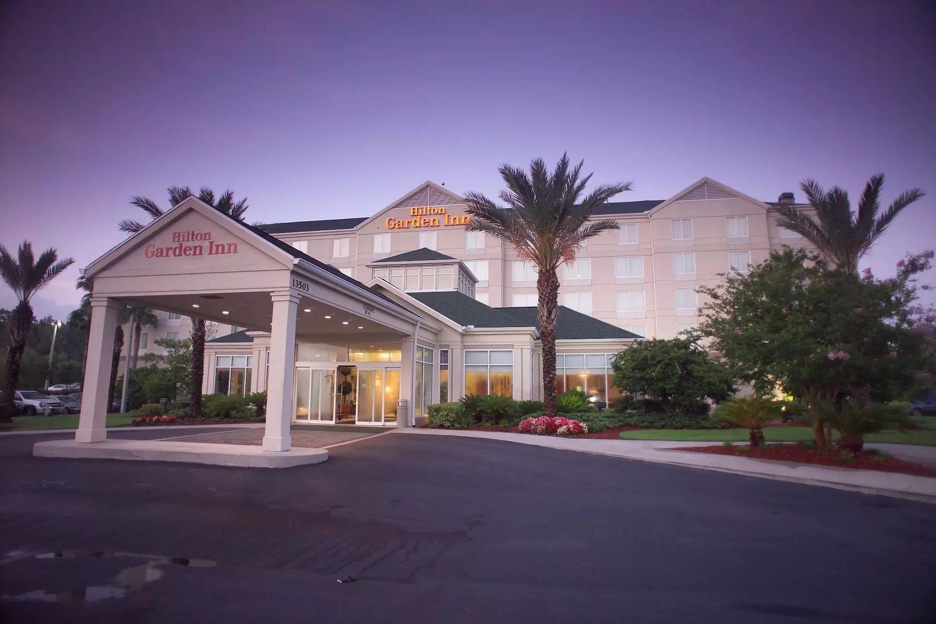 Hilton Garden Inn Jacksonville Airport - Primary Image
