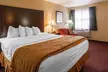 Quality Inn & Suites Covington - Second Medium