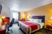 Comfort Inn & Suites Greenville I-70 - Second Medium