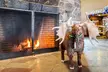 Fireside Inn & Suites West Lebanon - Second Medium