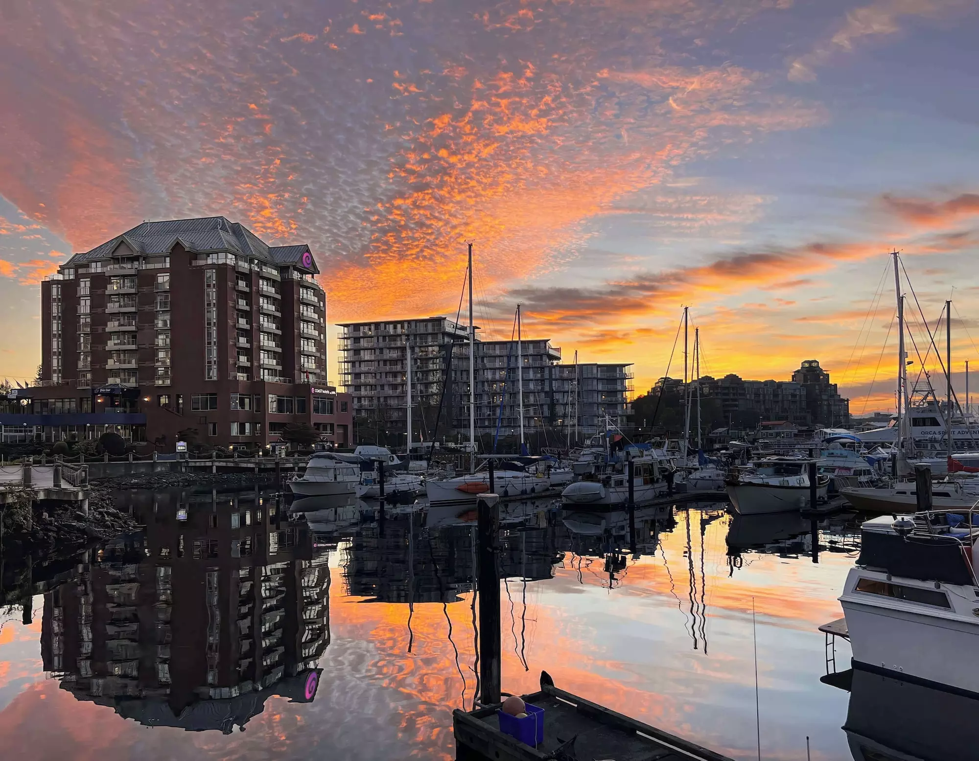 Coast Victoria Hotel & Marina by APA - Primary Image