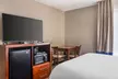 Comfort Inn & Suites Conway - Second Medium